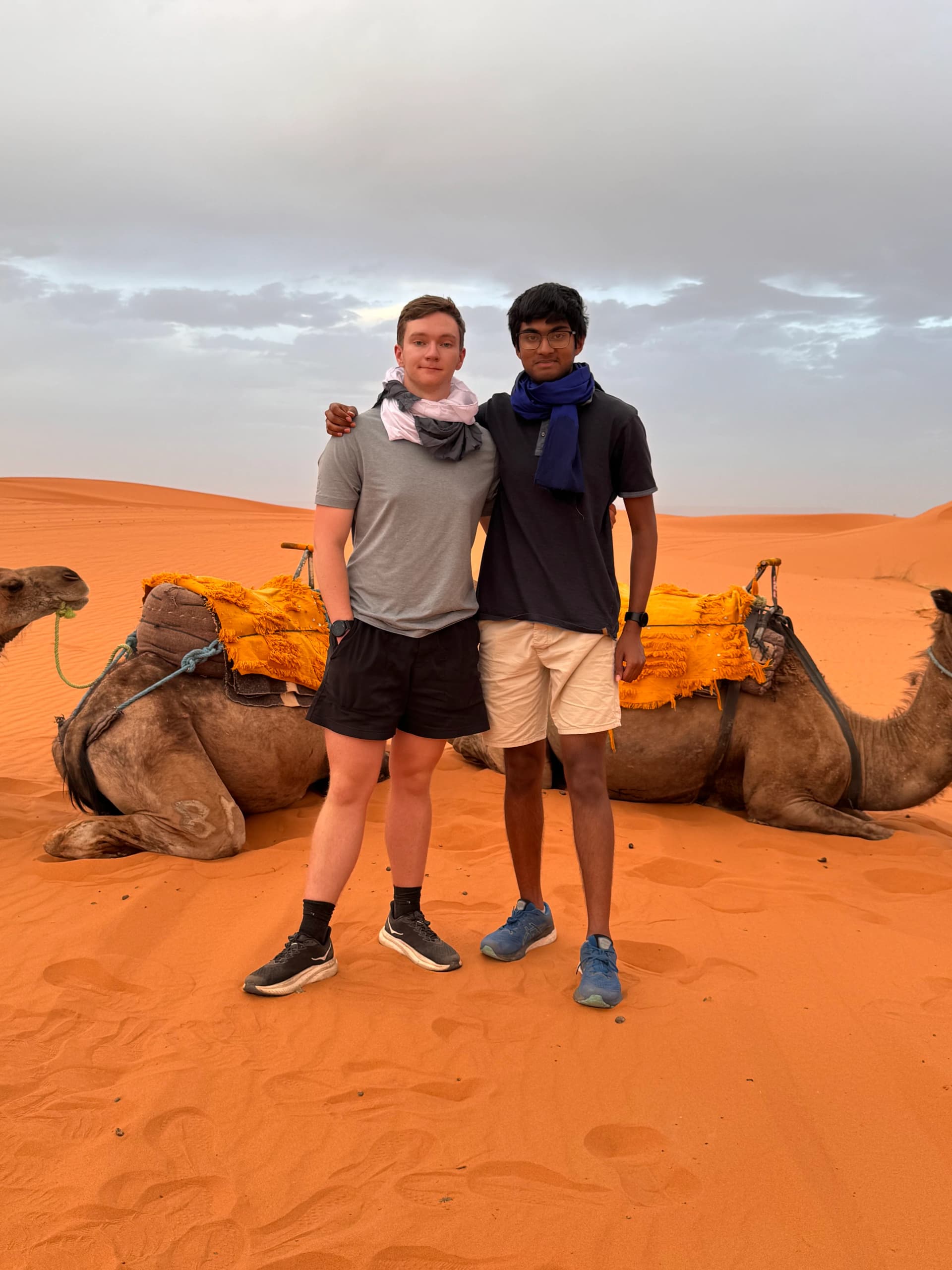 Photo 2025-06-camel.webp