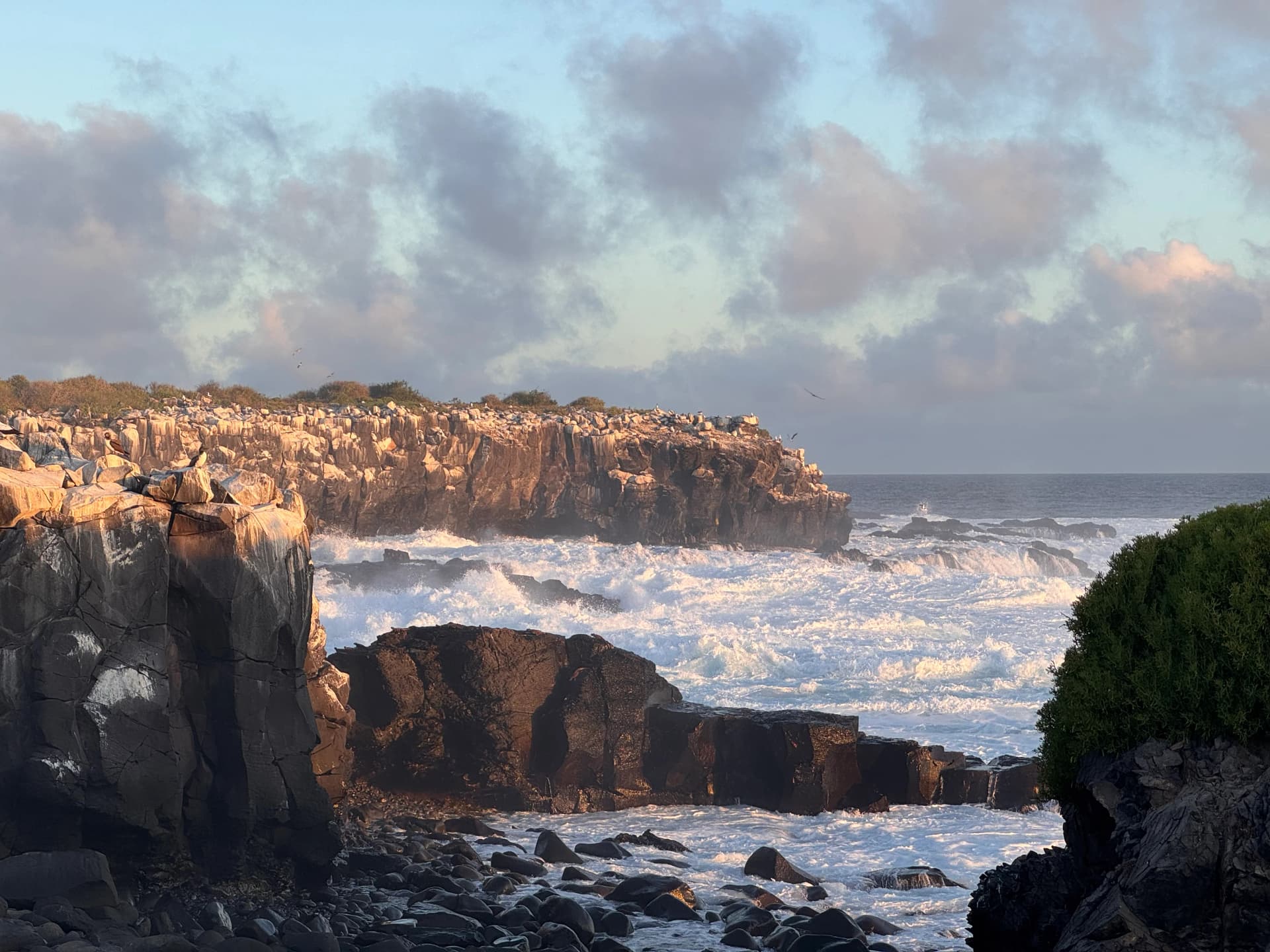 Photo 2025-06-galapagos.webp
