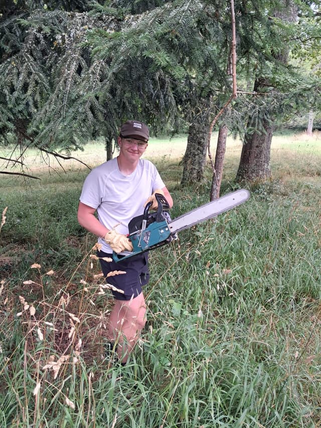 Photo 2025-07-chainsaw.JPG